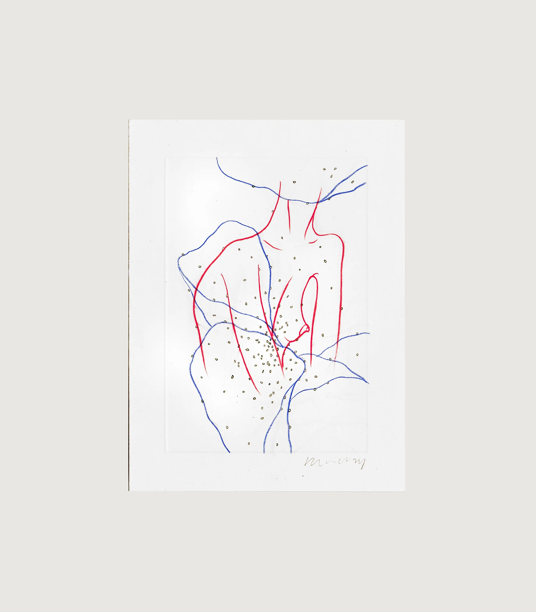 "aphids 2"