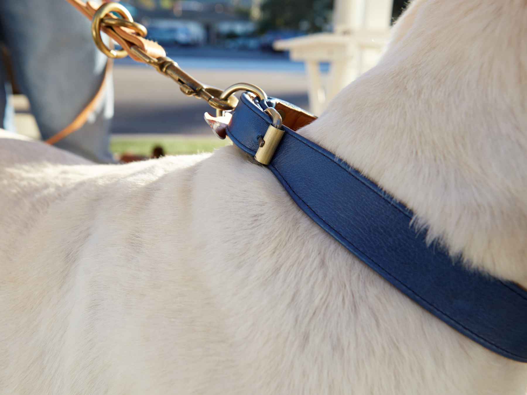 Beaufort Collar