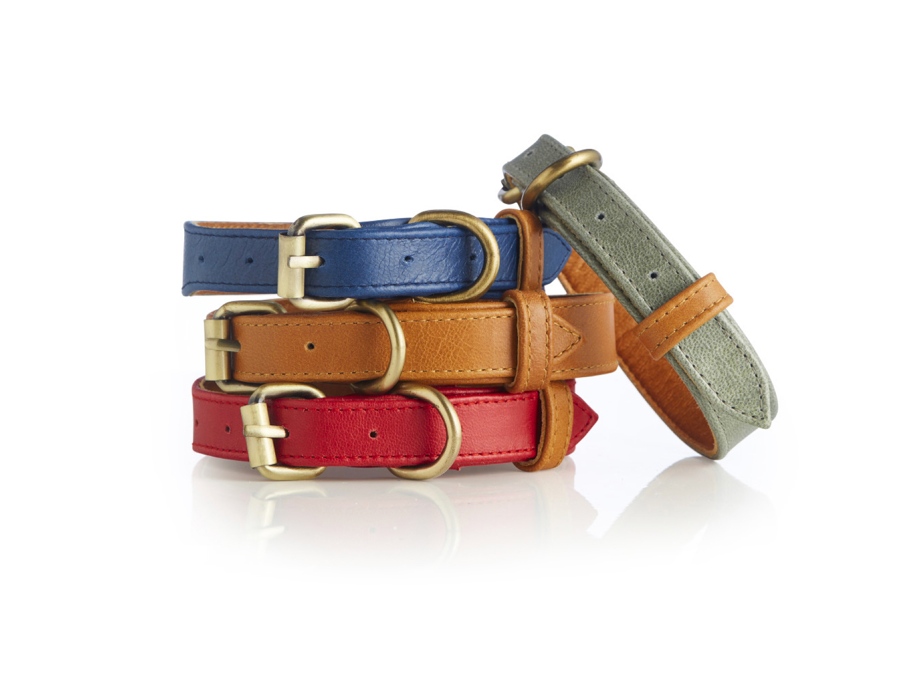 Coastal Collection Dog Collars