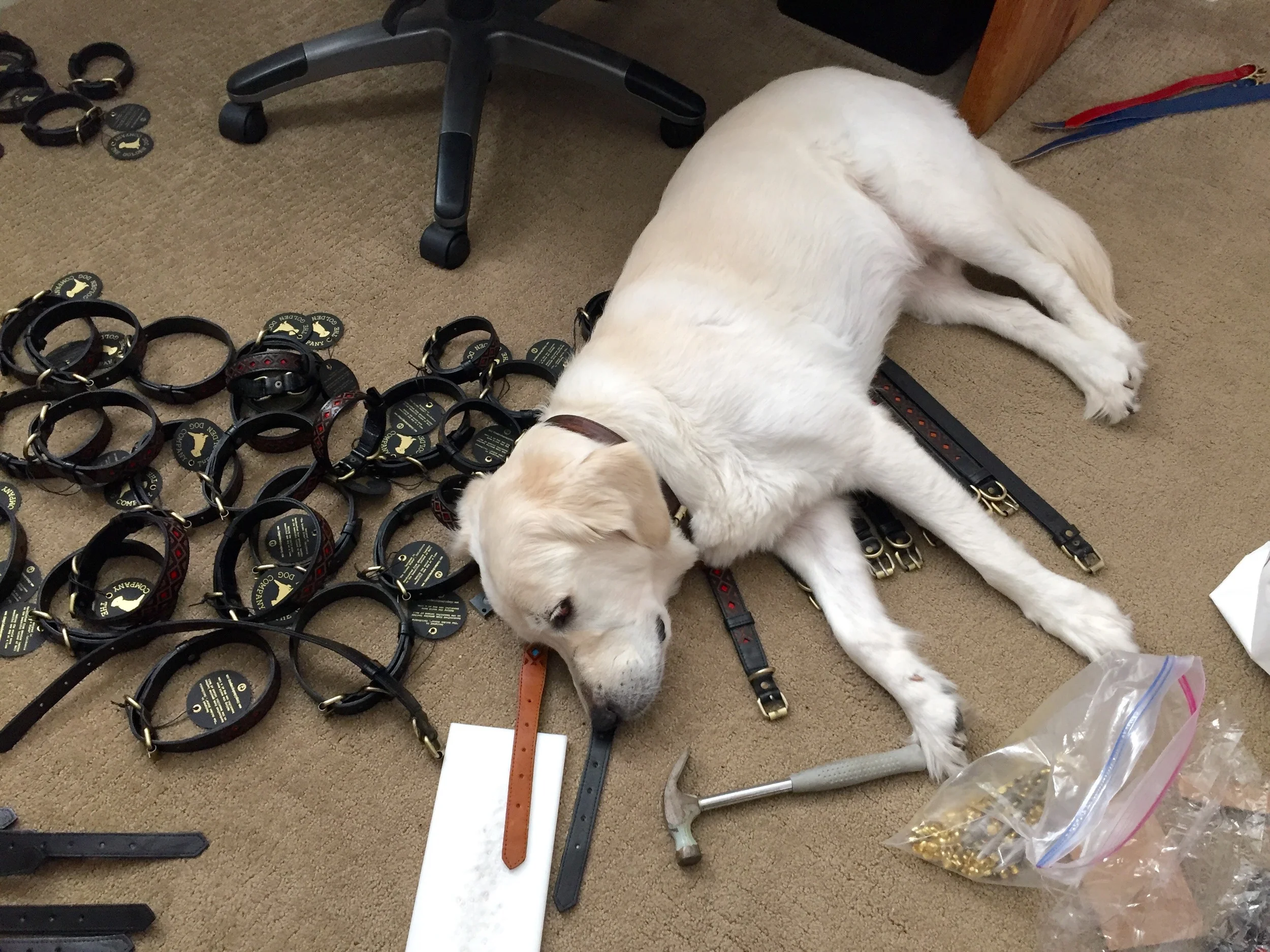 CEO Jack hard at work