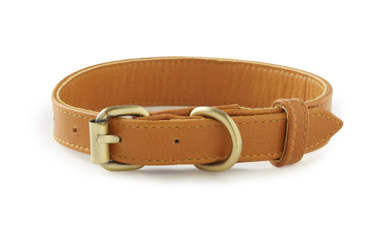 Topsail Collar