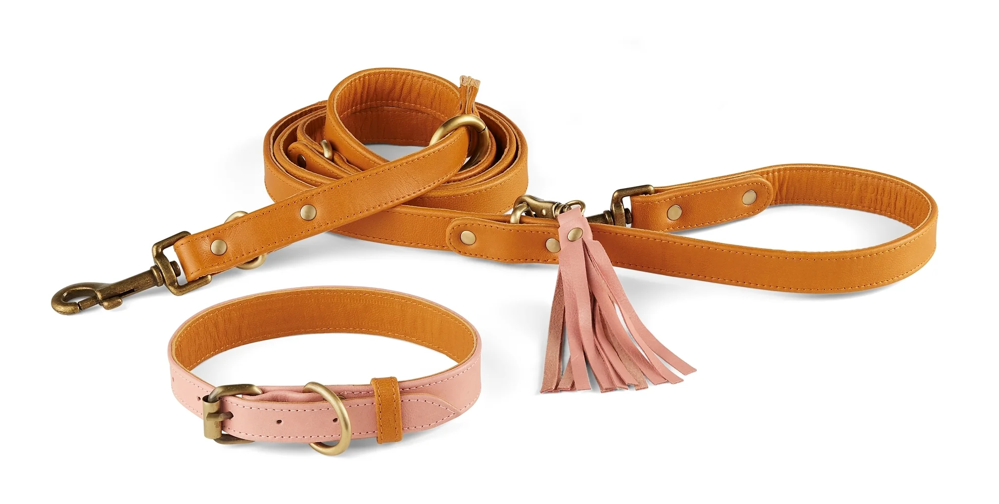 Santa Cruz Collar + Leash