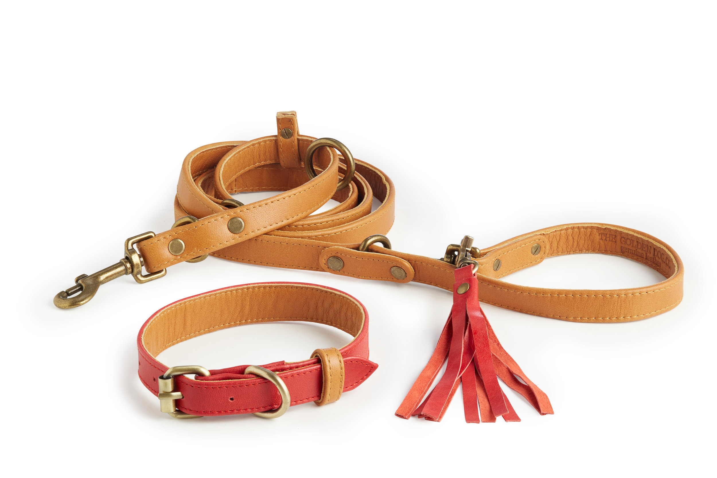 Collar + Leash