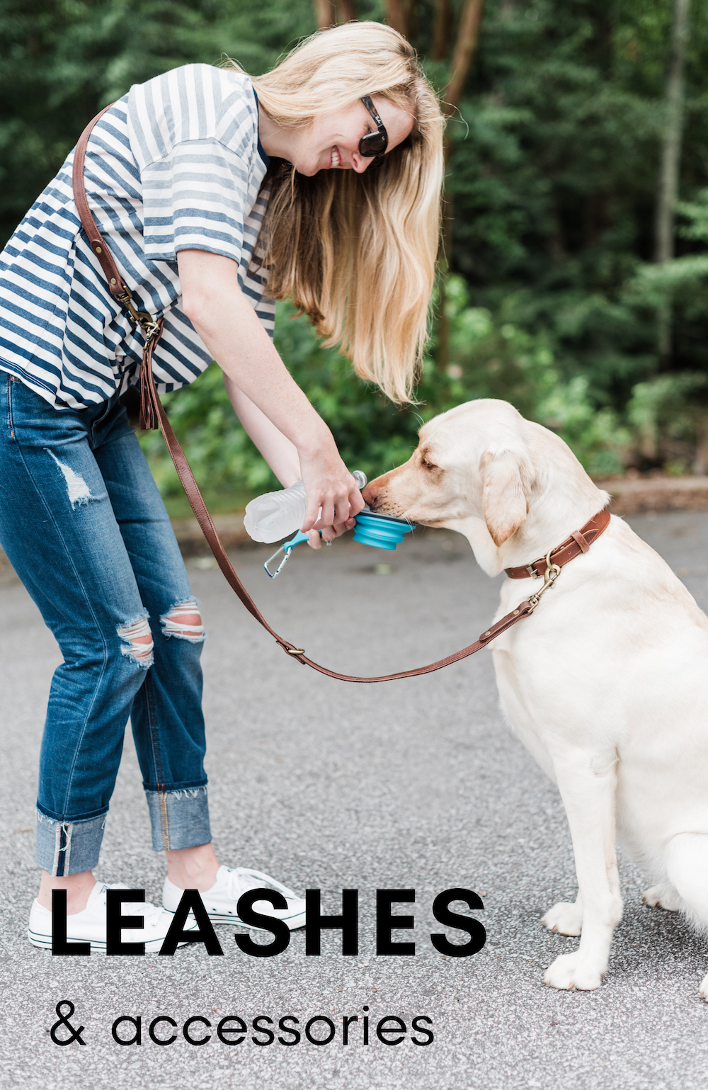 leashes.png