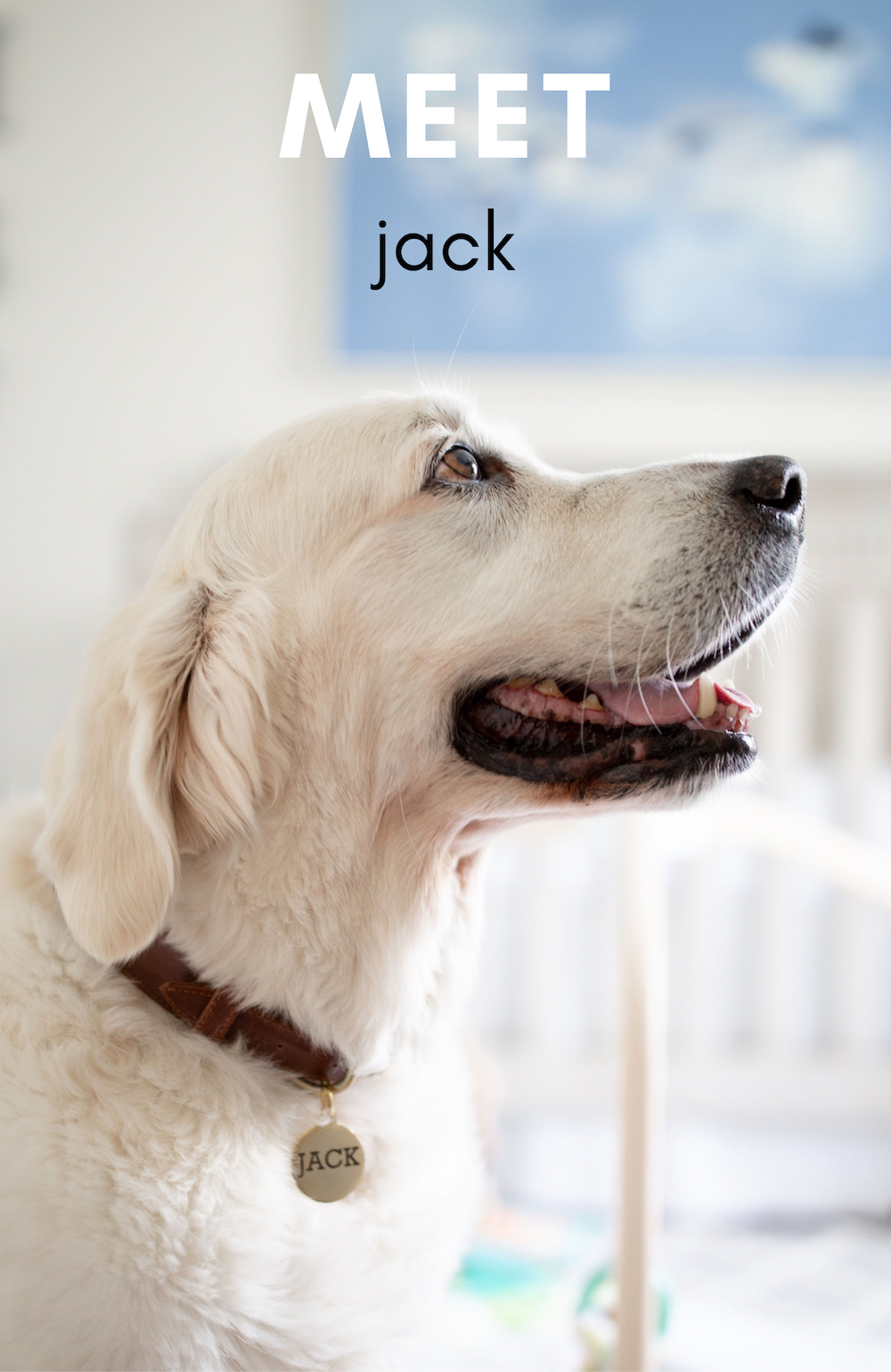 meet-jack.png