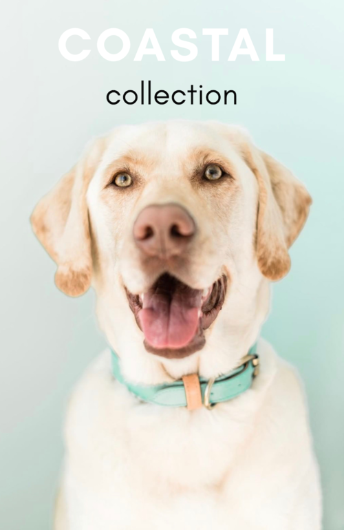 COSTAL-COLLECTION.png