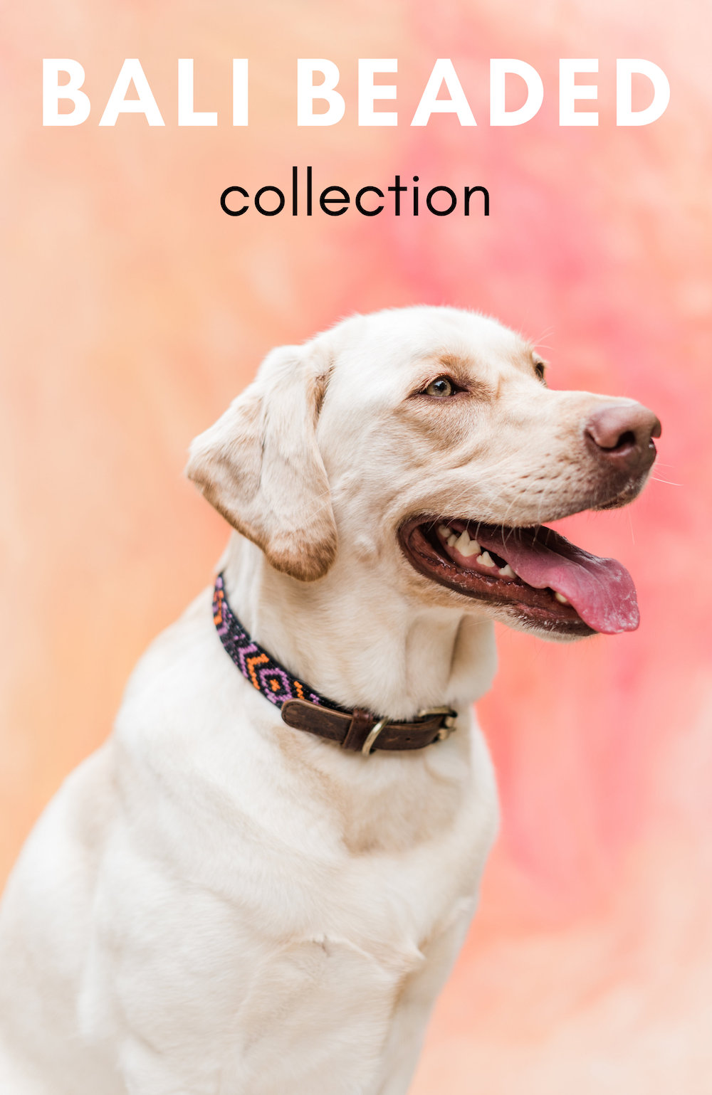 BALI-&-BEADED-COLLECTION.png