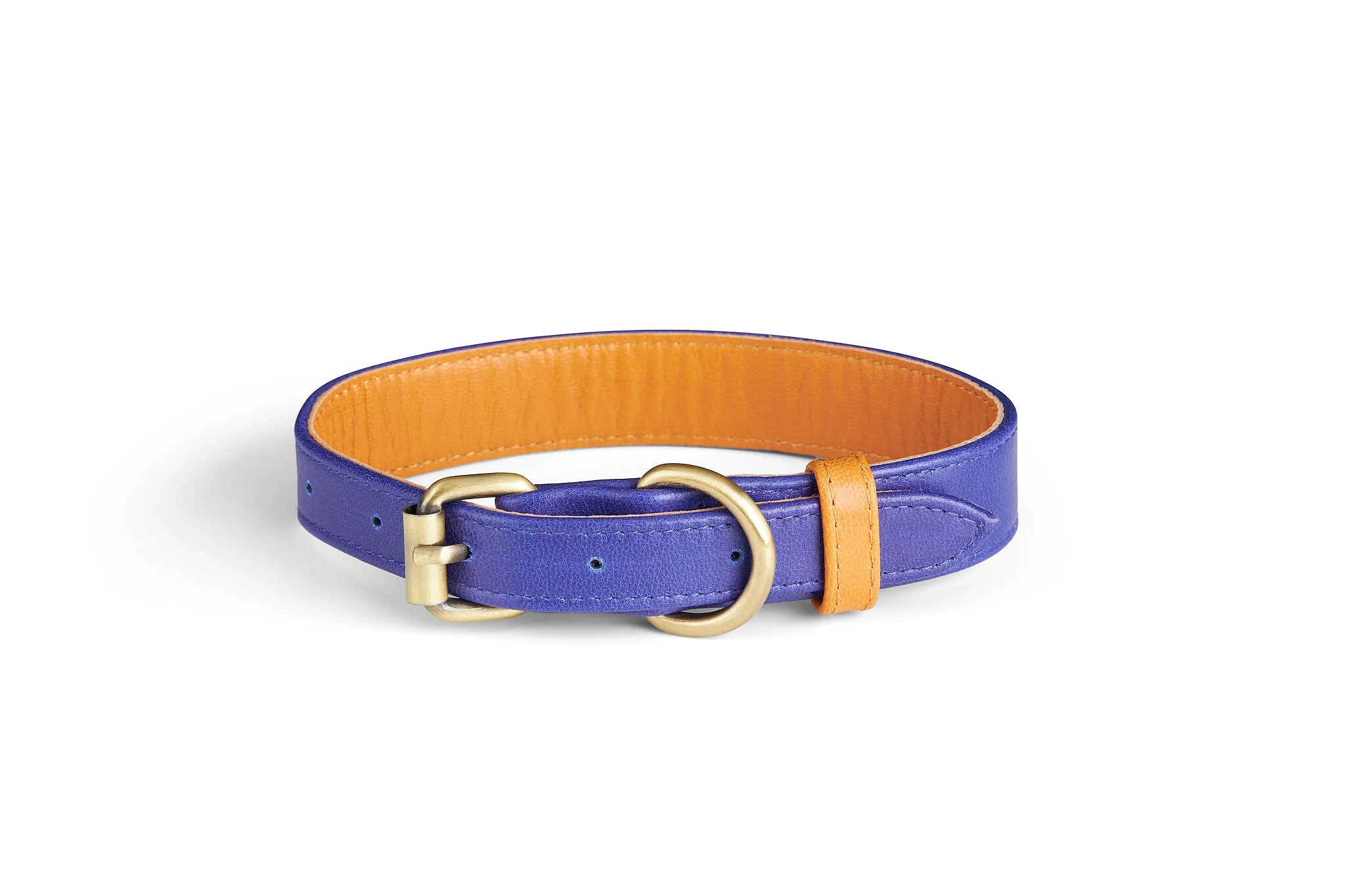 Malibu Collar | Purple
