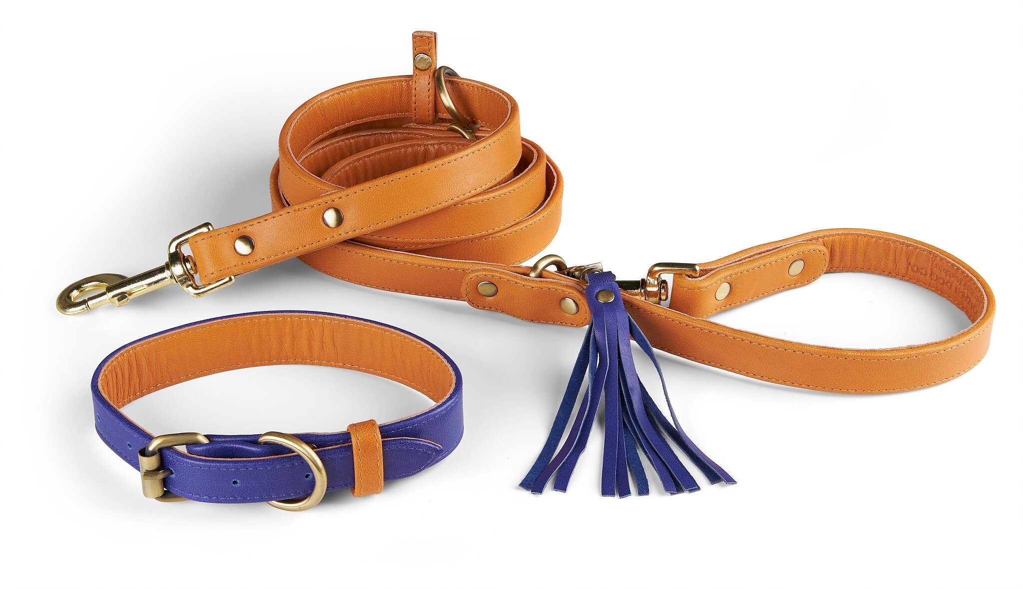 Malibu Collar + Leash