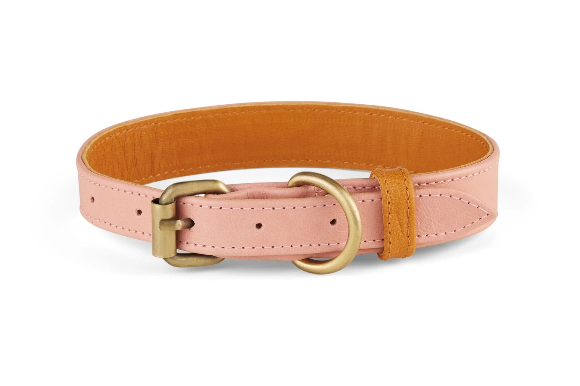 Santa Cruz Collar