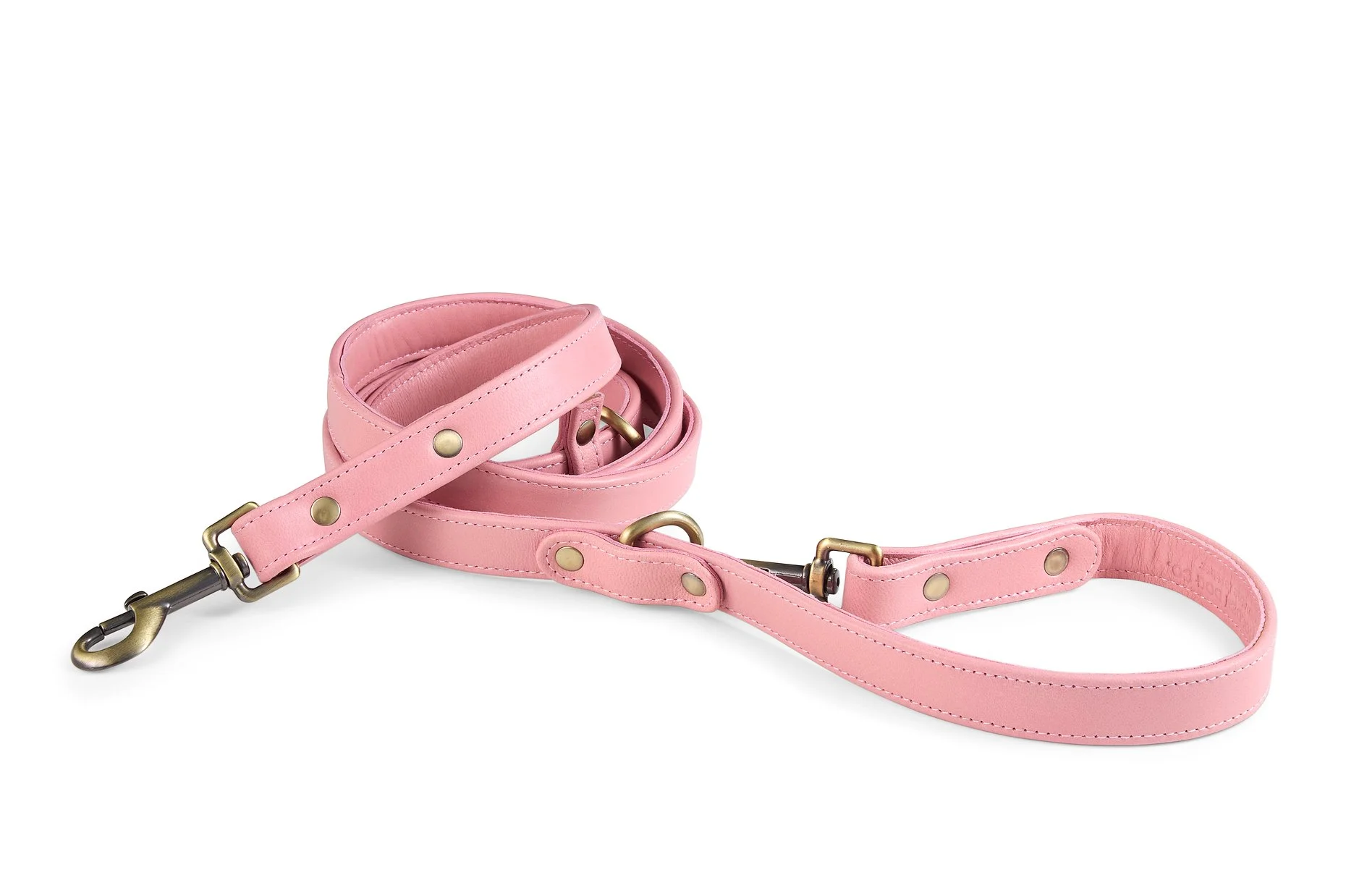 Santa Cruz Leash