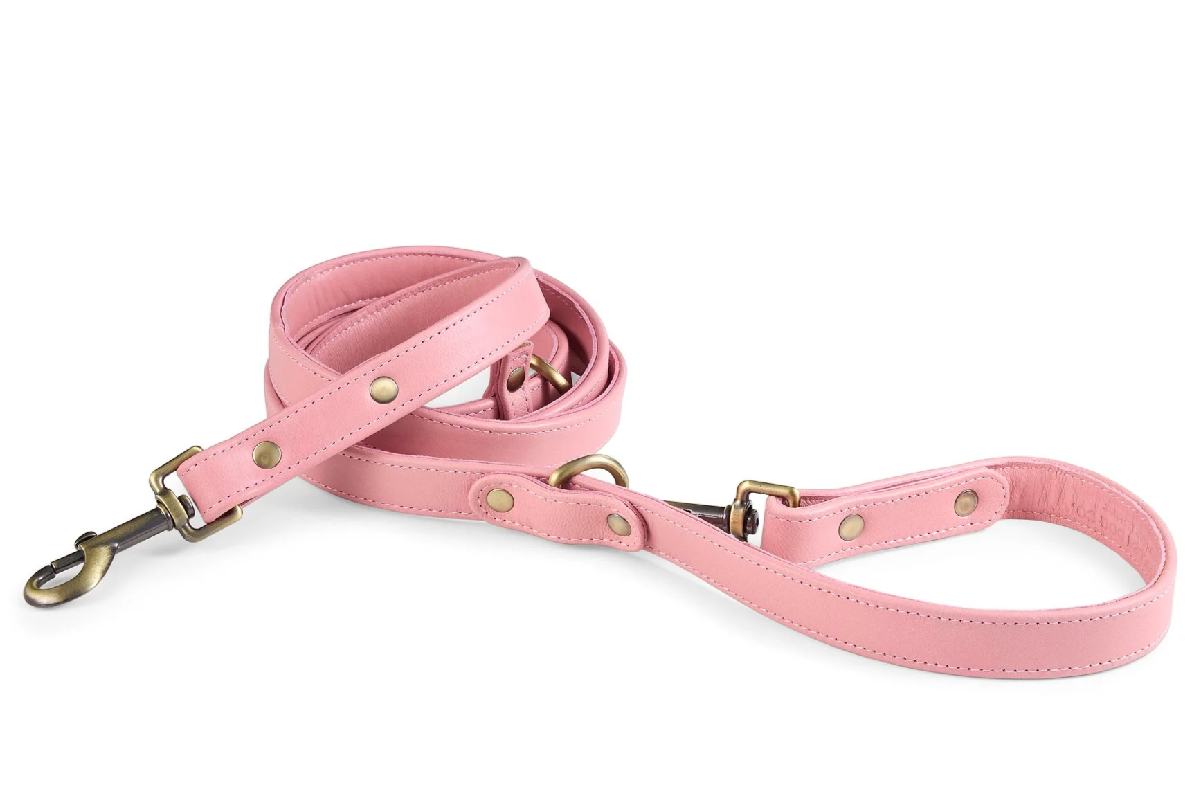 Santa Cruz Leash