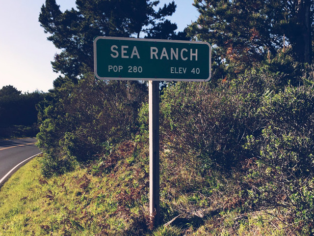 Memorial Run to Sea Ranch