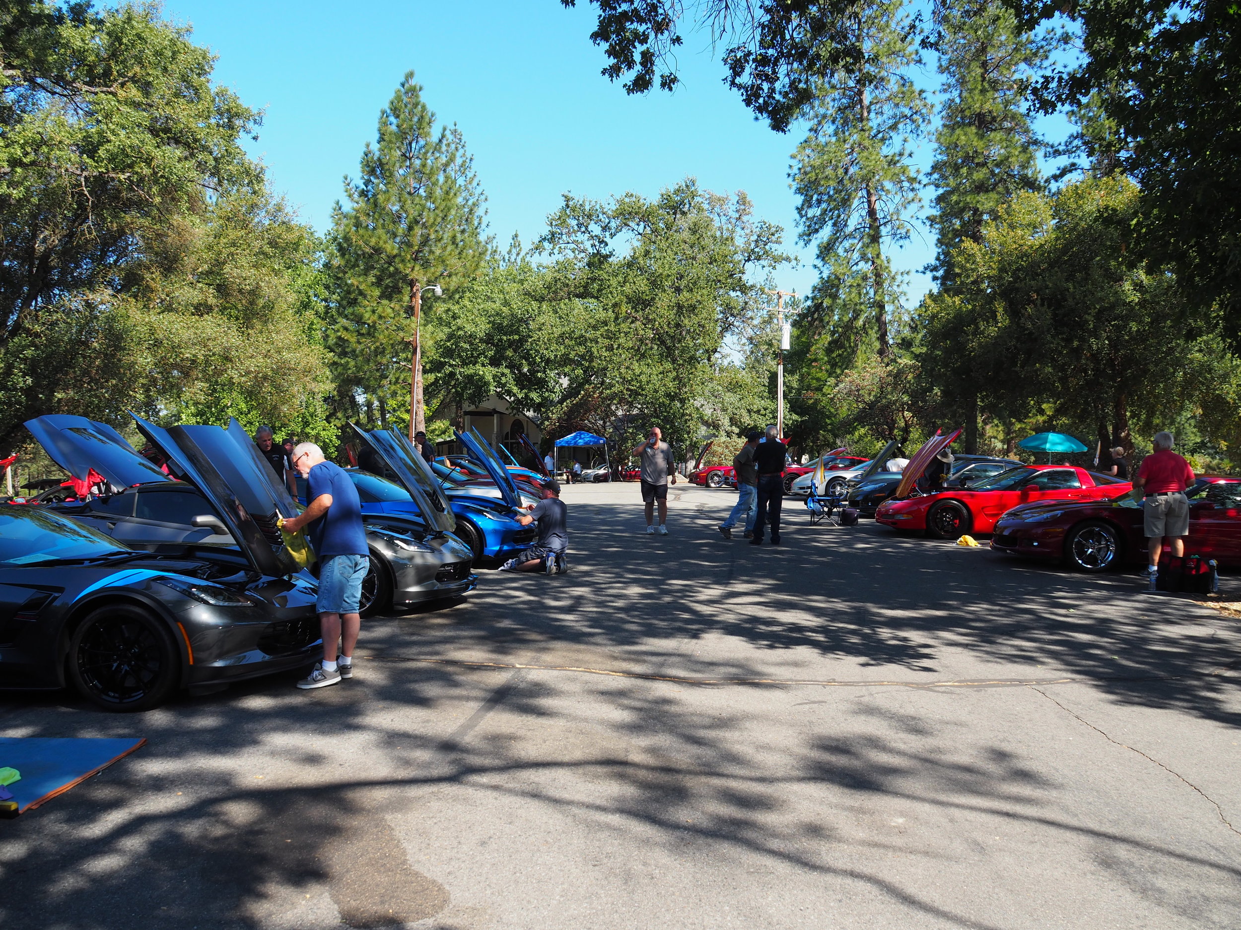 Vettes Under the Oaks Car Show