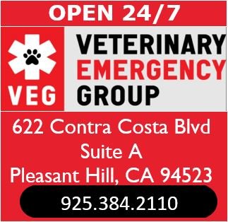 Veterinary Emergency Group - Pleasant Hill