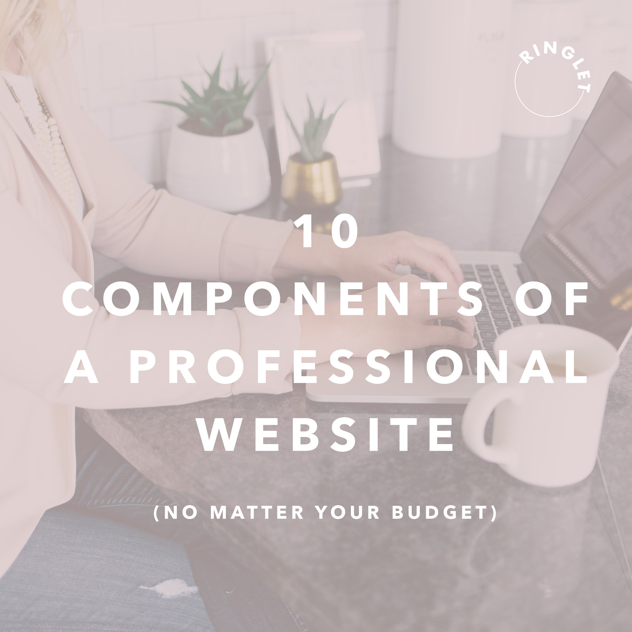 10ComponentsofaProfessWebsite.jpg