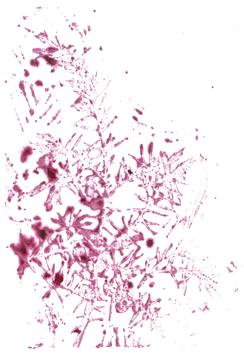 SKM_C754e15021316460_0001.jpg