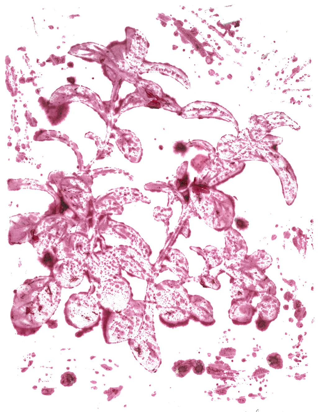 SKM_C754e15021316501_0001.jpg