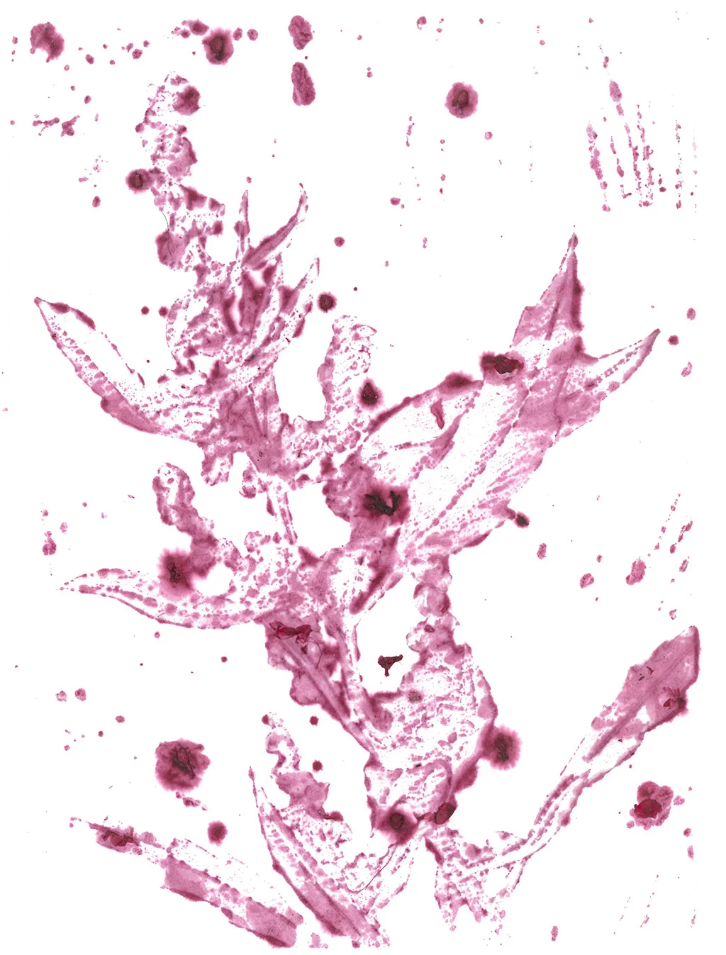 SKM_C754e15021316540_0001.jpg