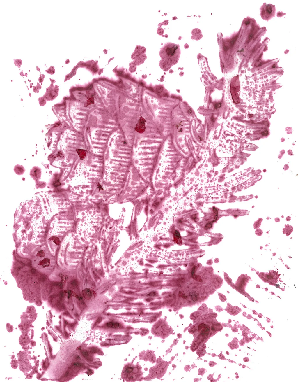 SKM_C754e15021316550_0001.jpg