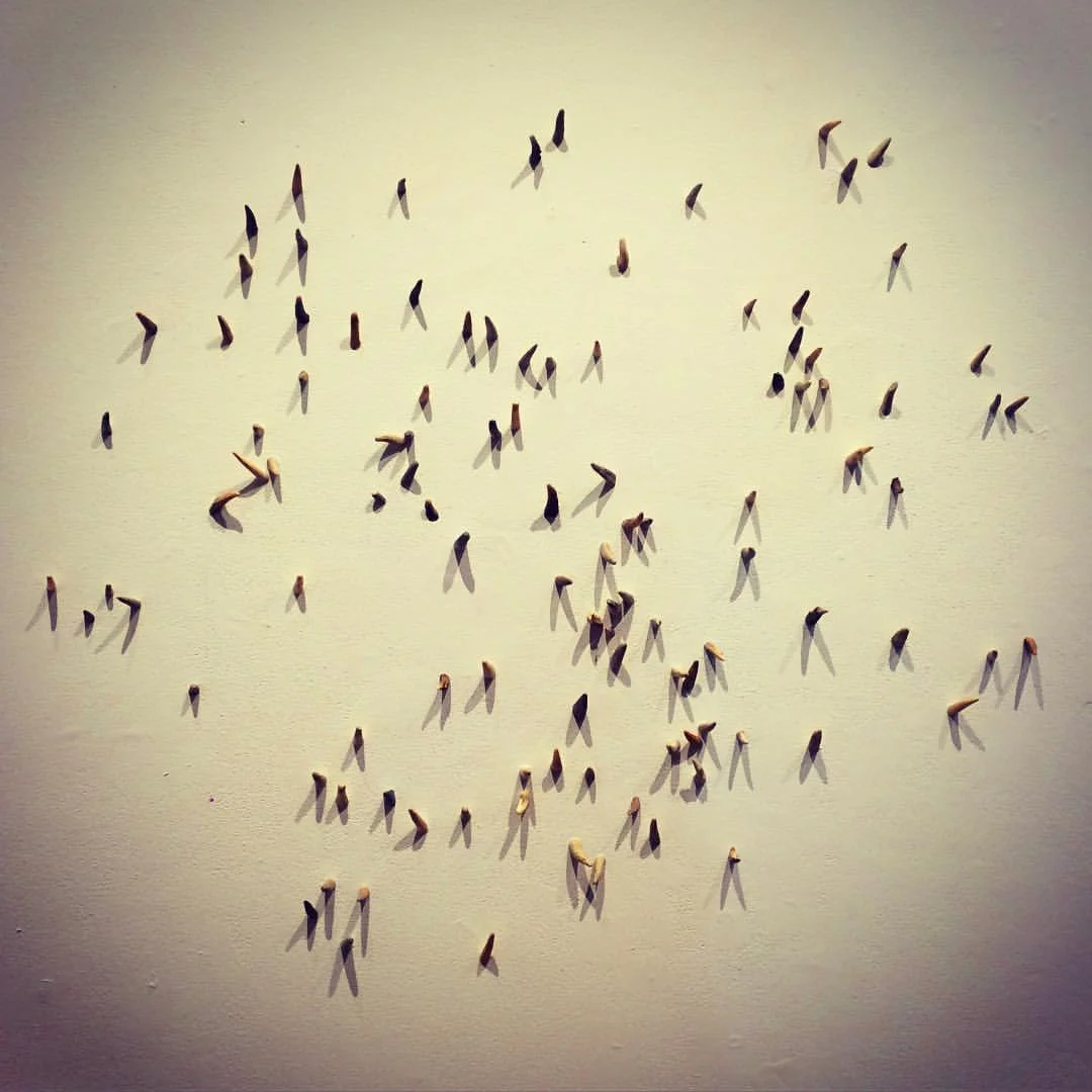 ANANGOKAA – THERE ARE (MANY) STARS, FEBRUARY