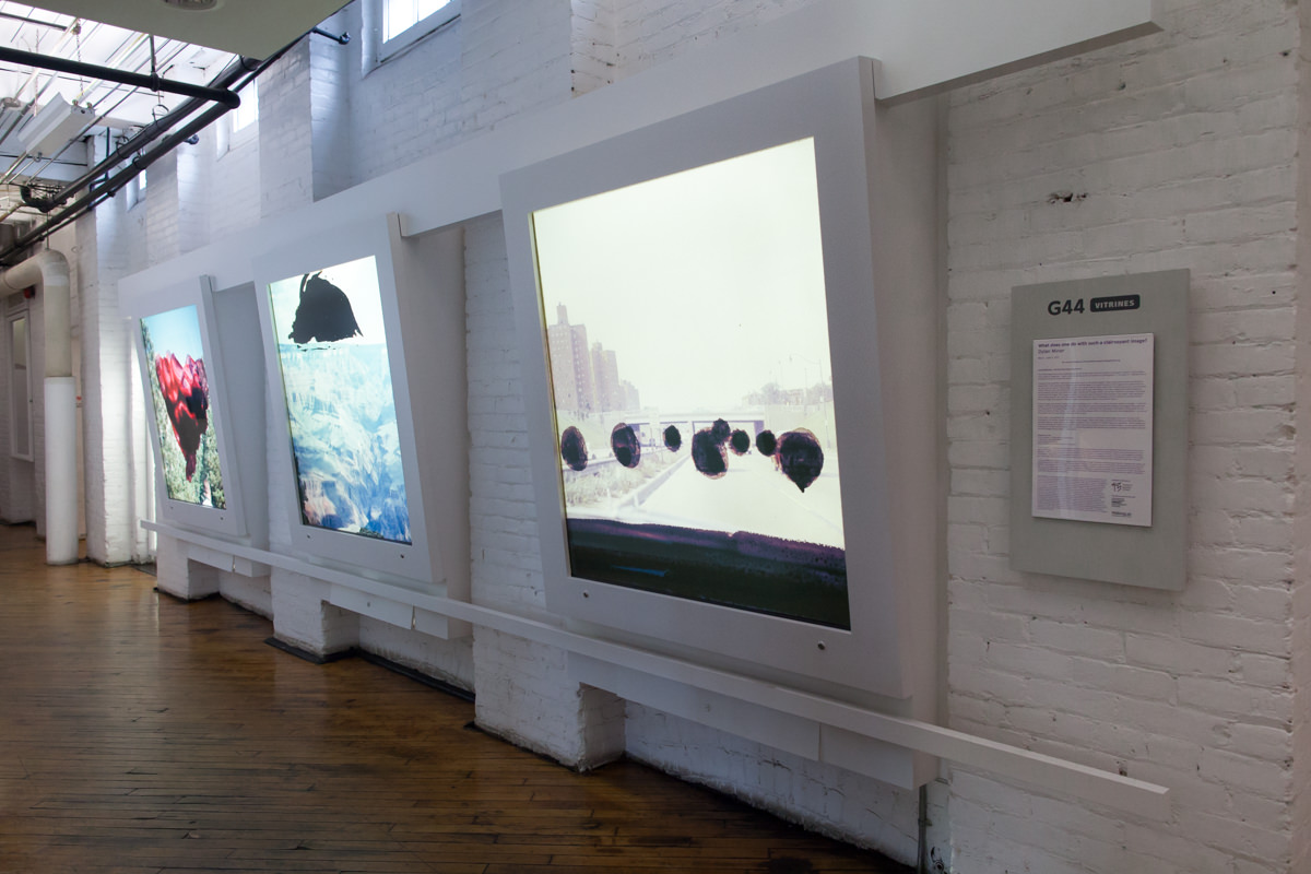 Gallery 44, Toronto 2017