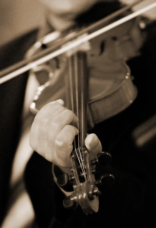 reception performer