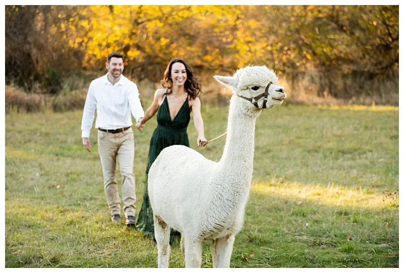 1.14.20  ||   Alpaca Farm Engagements