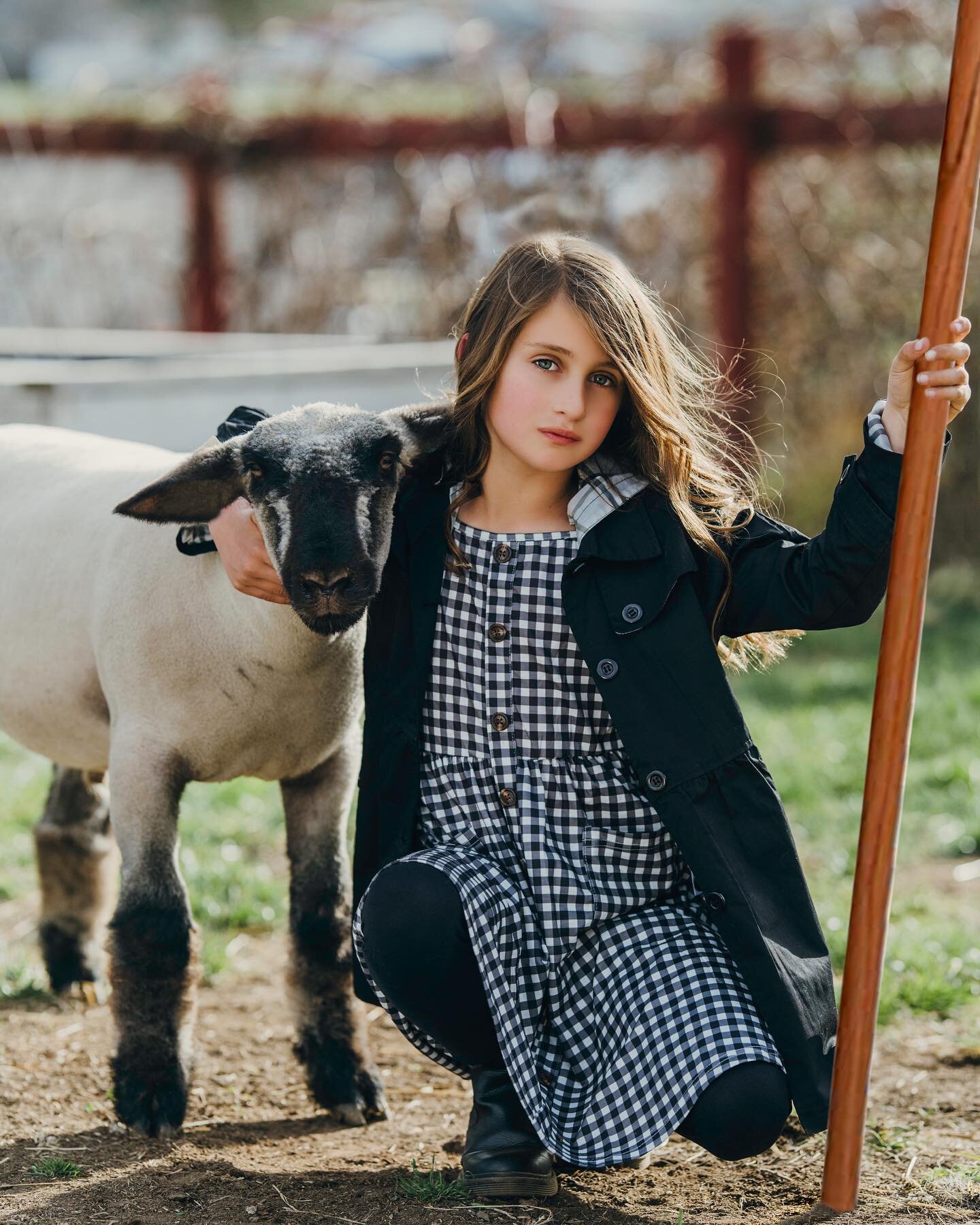 June. You&rsquo;re going to crush it this weekend! So excited for you and your first fair! &hearts;️

Support your local kids, get local homegrown food raised with love! 

#4H #makemoreportraits