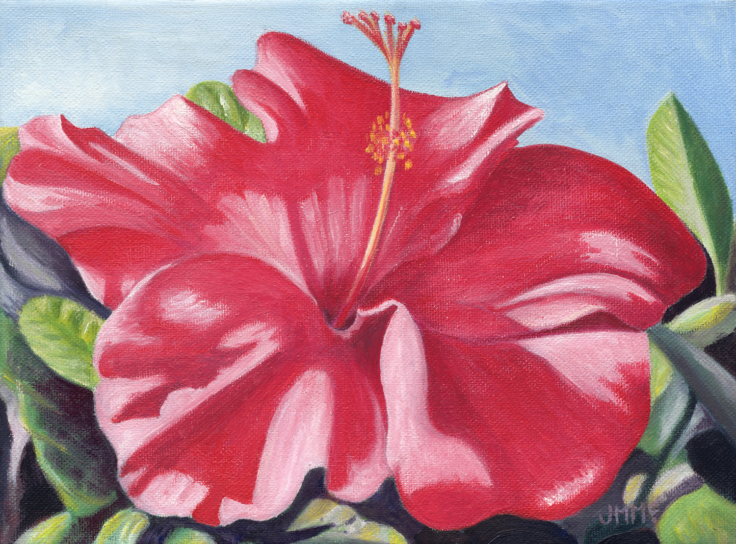 HAWAIIAN HIBISCUS