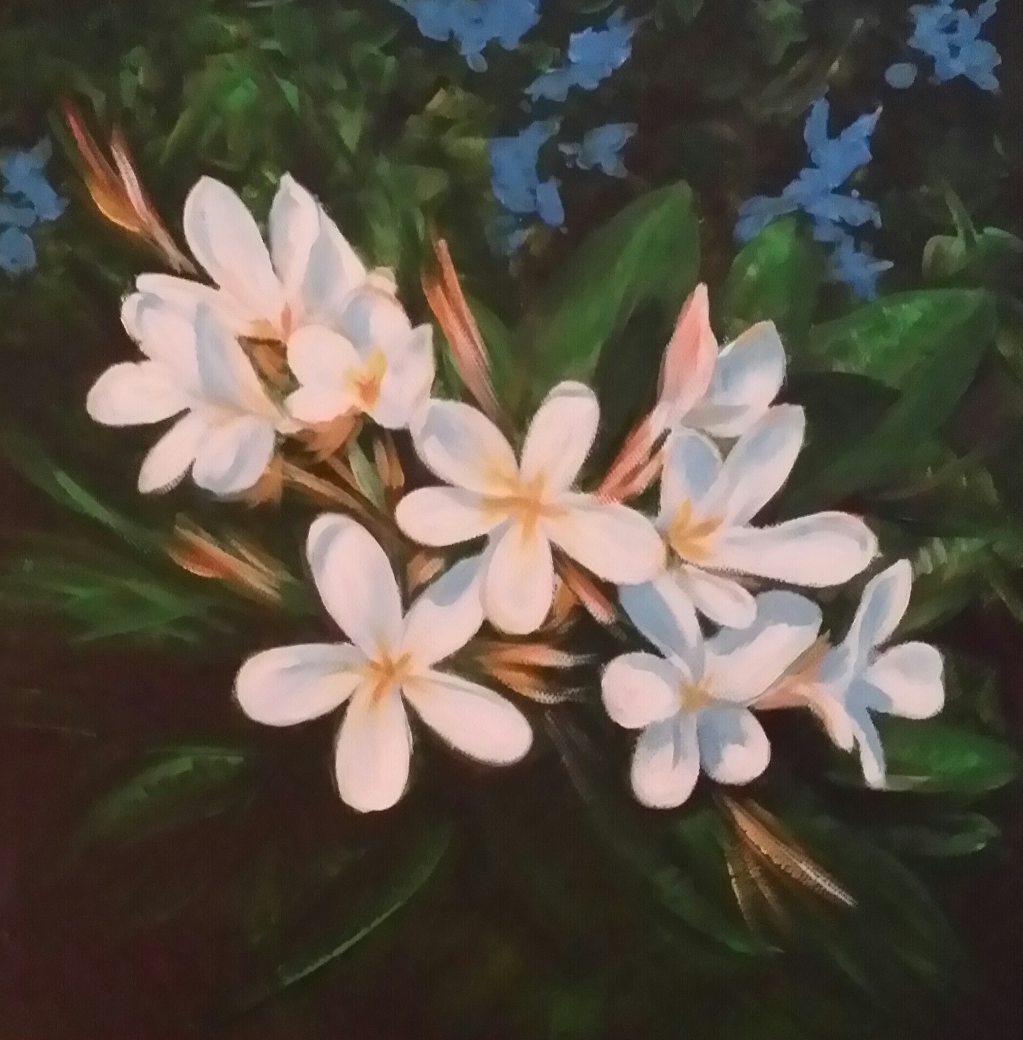 PLUMERIA