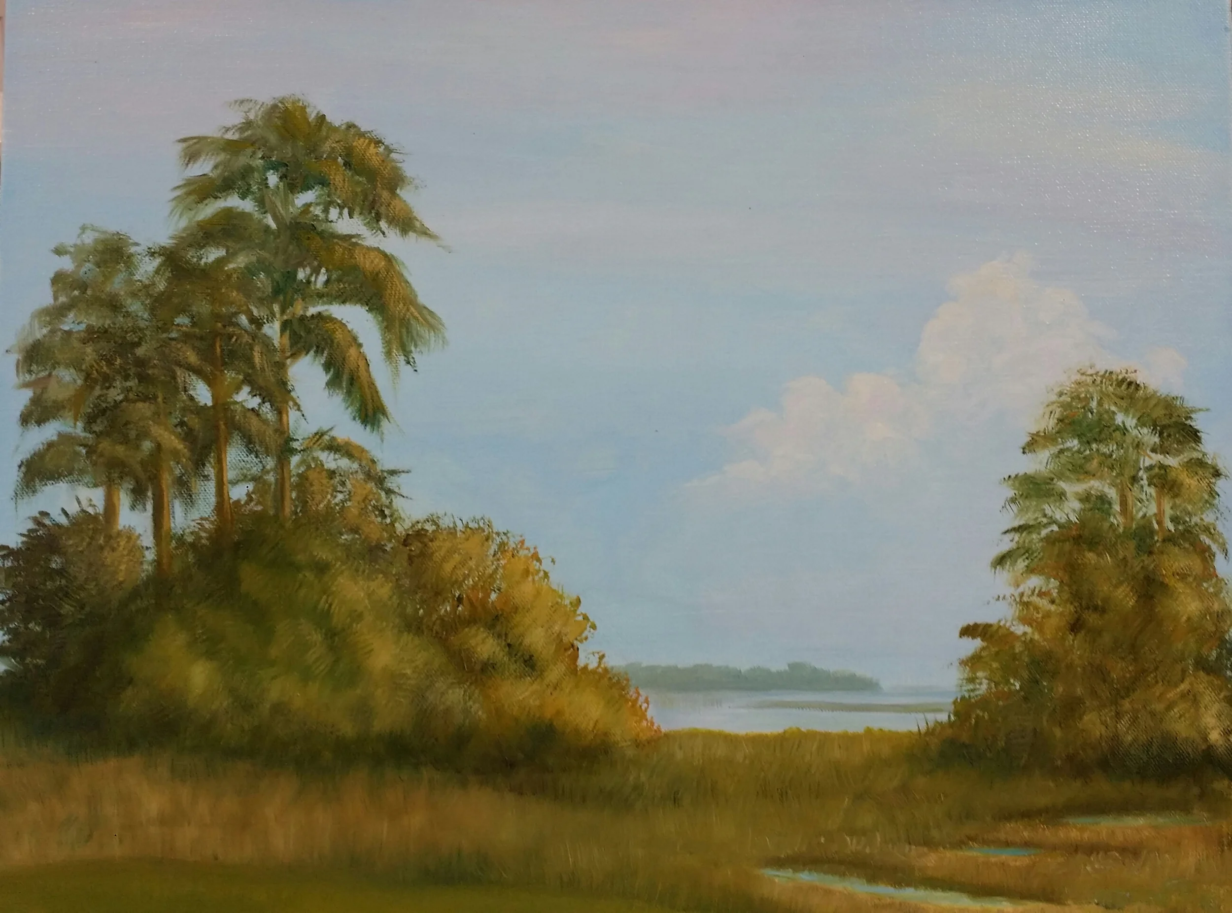 LOW COUNTRY HARMONY