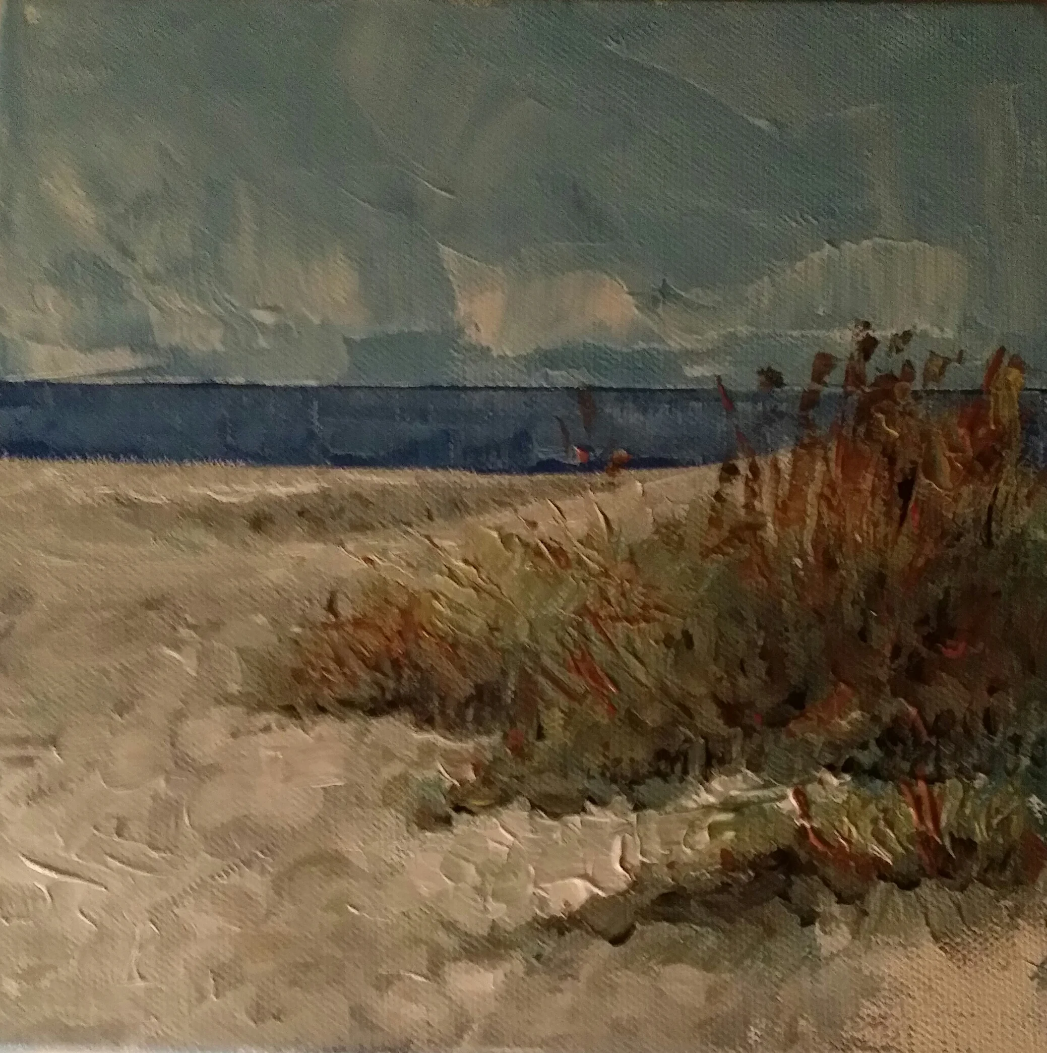 STORMY DUNES, HILTON HEAD