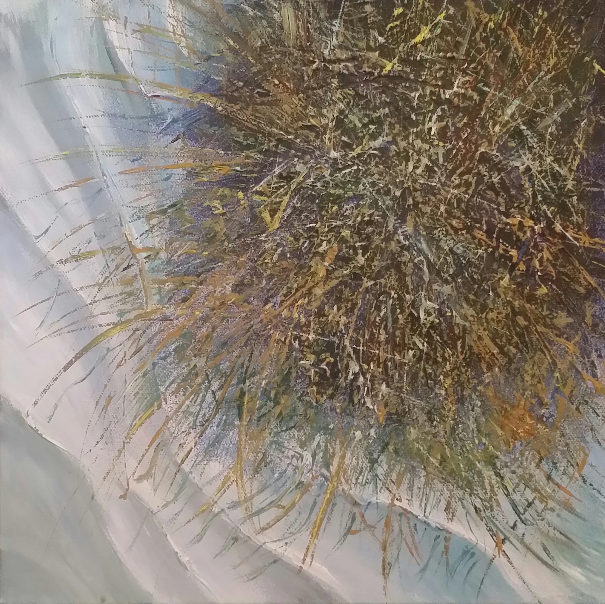 SEA GRASS - A BAD HAIR DAY