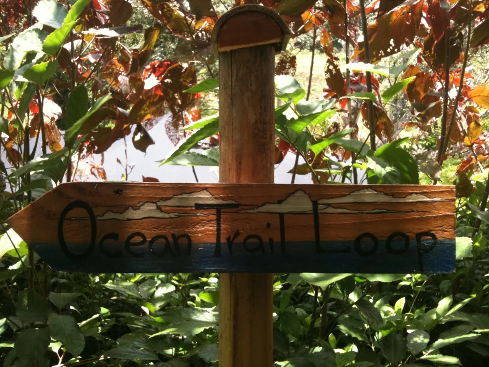 Ocean Trail 1.jpg