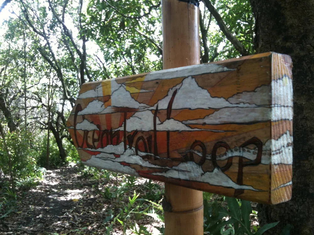 Ocean Trail 2.jpg