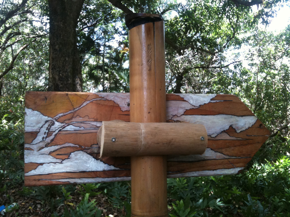 Ocean Trail 3.jpg