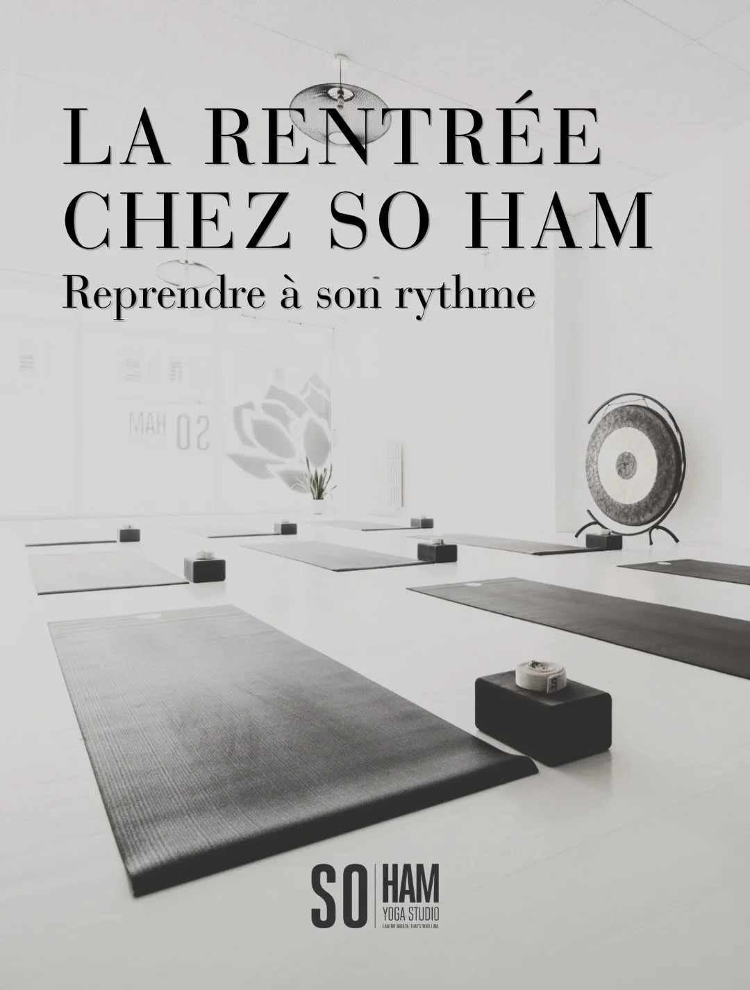 La rentr&eacute;e chez So Ham 🤍

Reprendre le chemin du tapis, retrouver sa pratique, ou simplement commencer.

Le planning de la rentr&eacute;e est l&agrave;, et pour celles et ceux qui souhaitent d&eacute;couvrir le studio, notre offre d&eacute;co