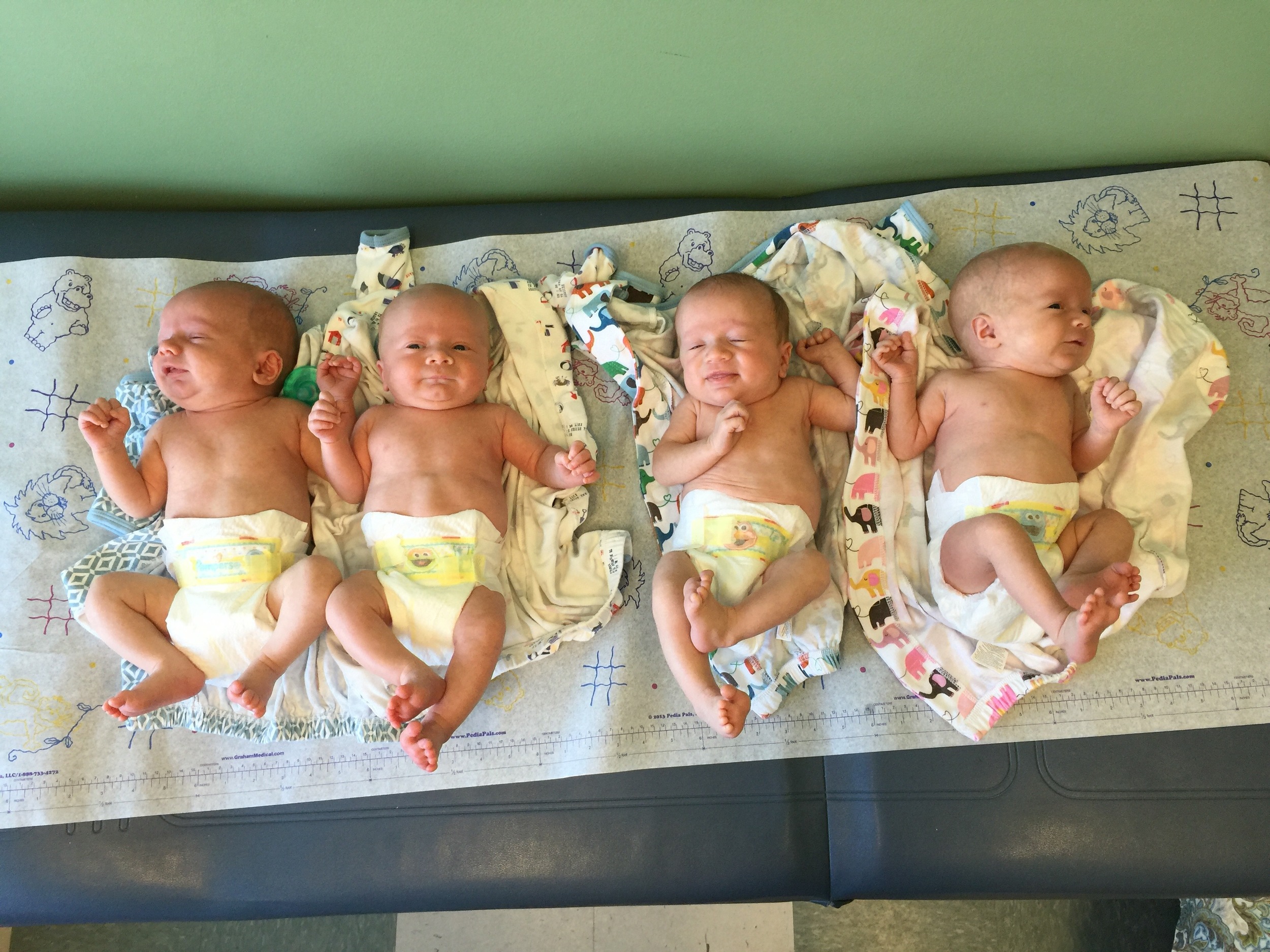In order biggest to smallest: Dillon, Henry, Charlie & Claire