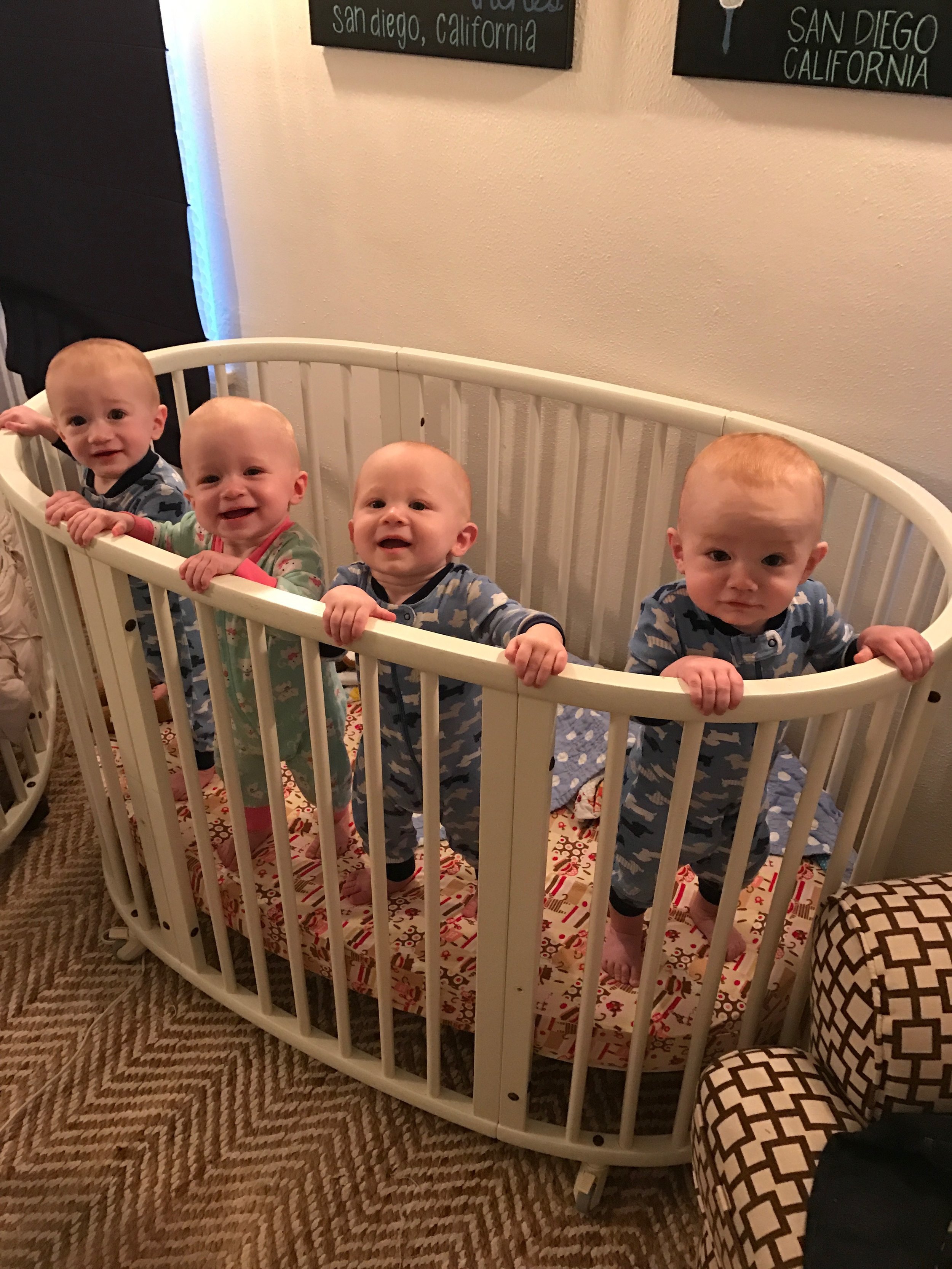 Moving day baby jail: 12/23/16