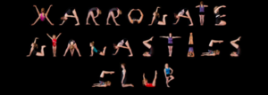 Harrogate Gymnastics image.PNG