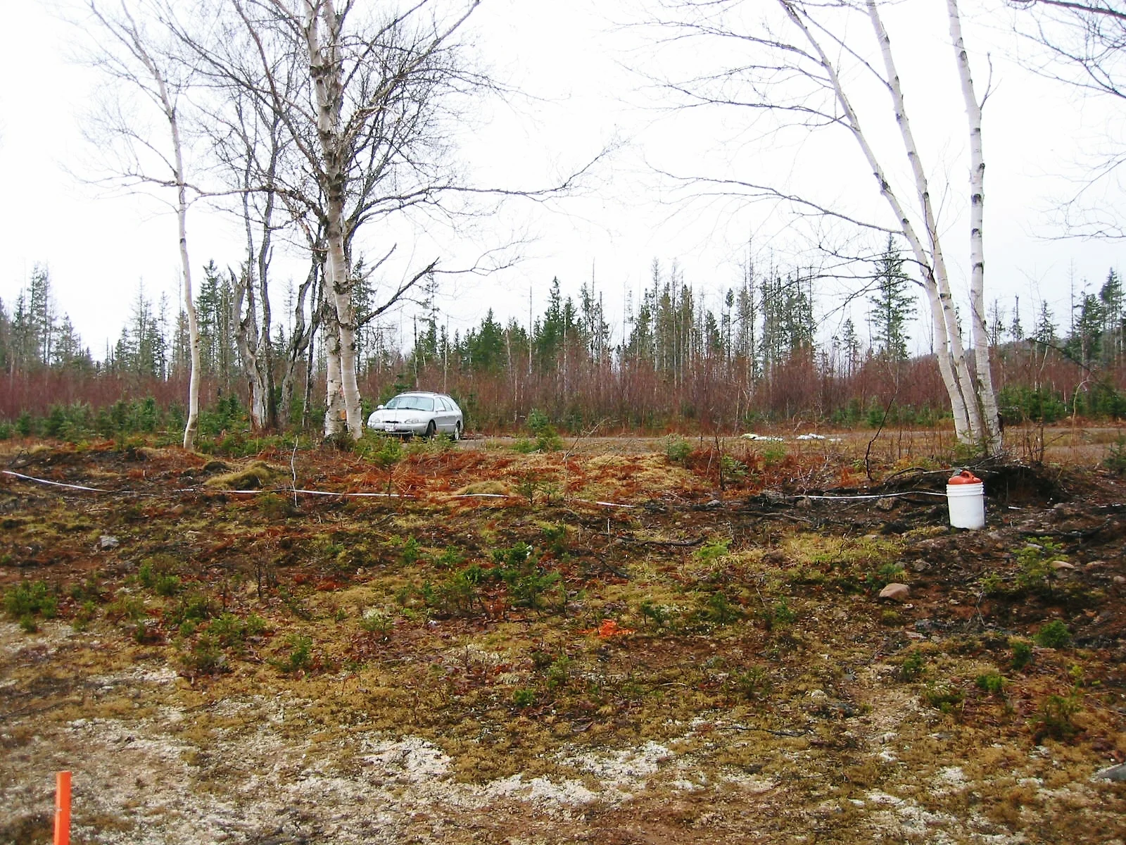 land assessment -2.jpg