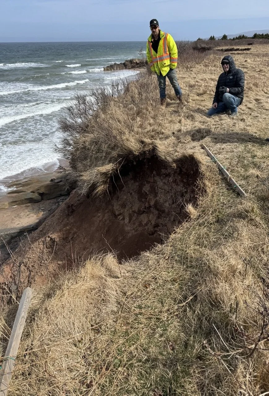 photo_2026-01-01 11.33.04.jpeg