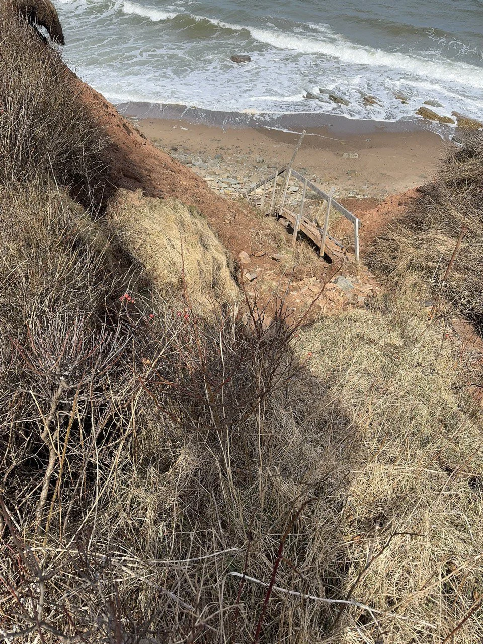 photo_2026-01-01 11.33.00.jpeg