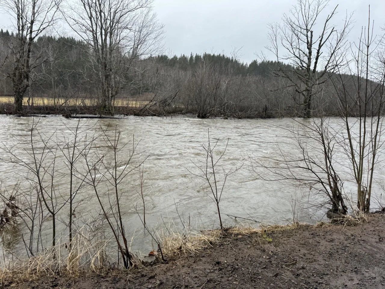 photo_2026-01-01 11.33.08.jpeg