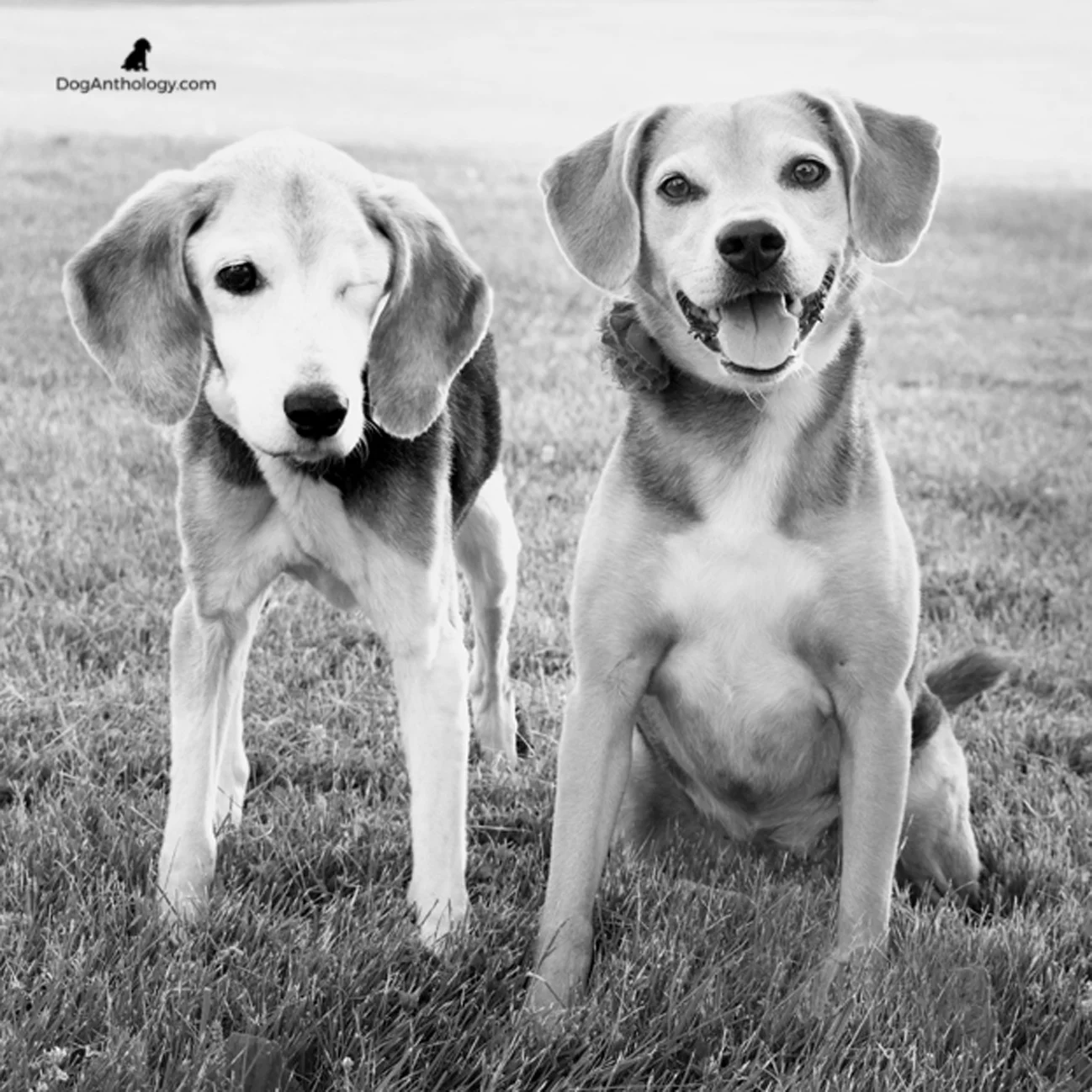 Shelley and Molly were great friends.