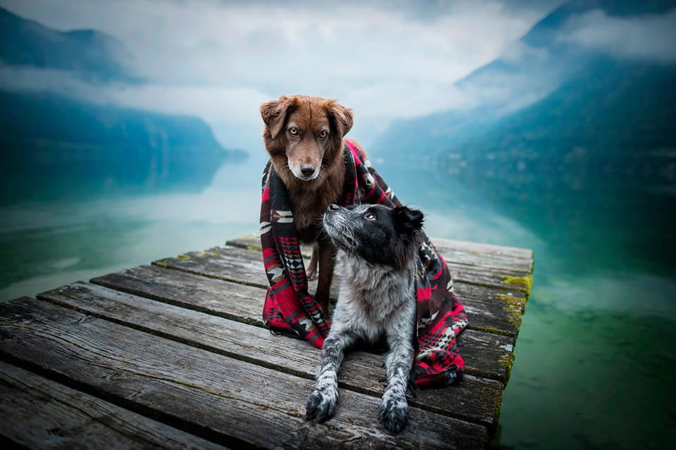 Anne Geier Workshop in Austria with Additional Participant