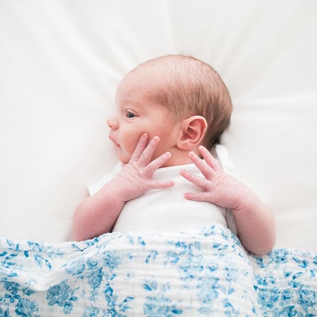 Patiently waiting to start shooting spring sessions outdoors! But for now...all the cute babies!