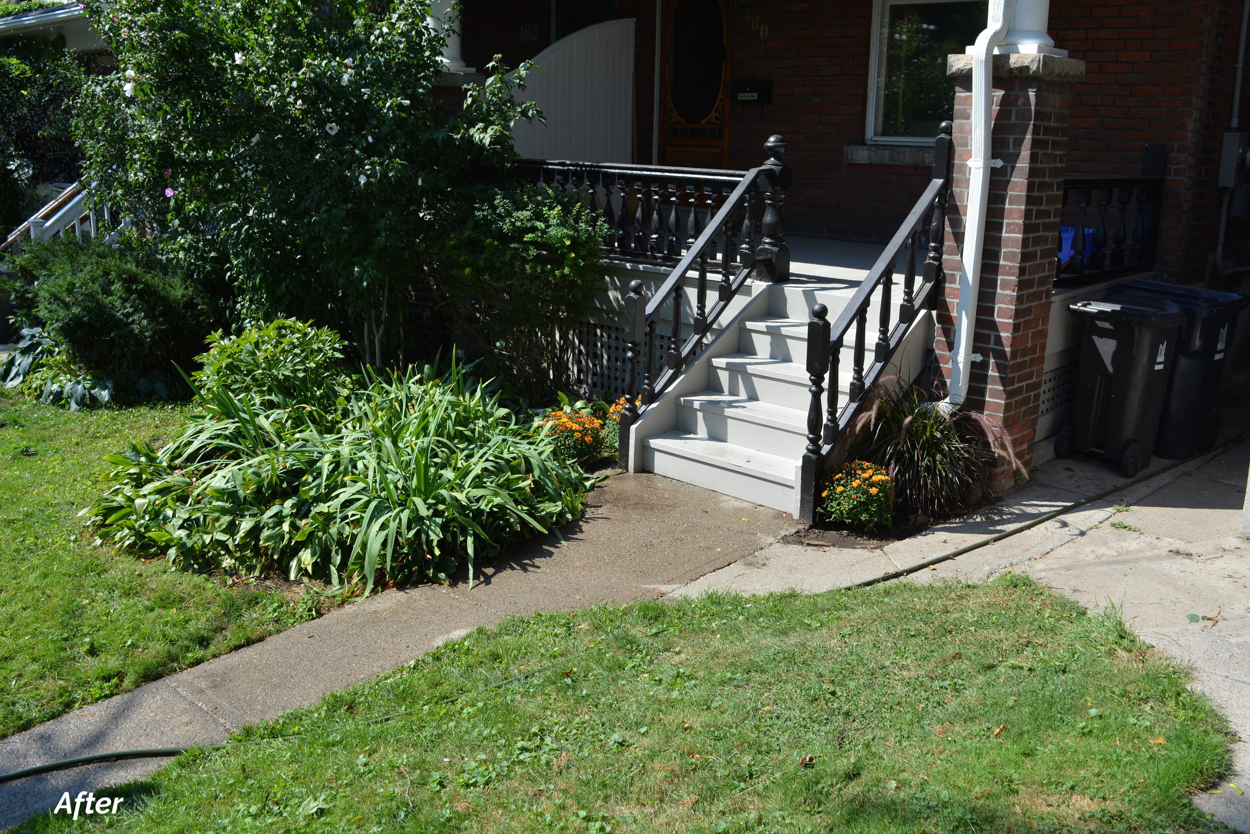 Real Estate side stairs.JPG