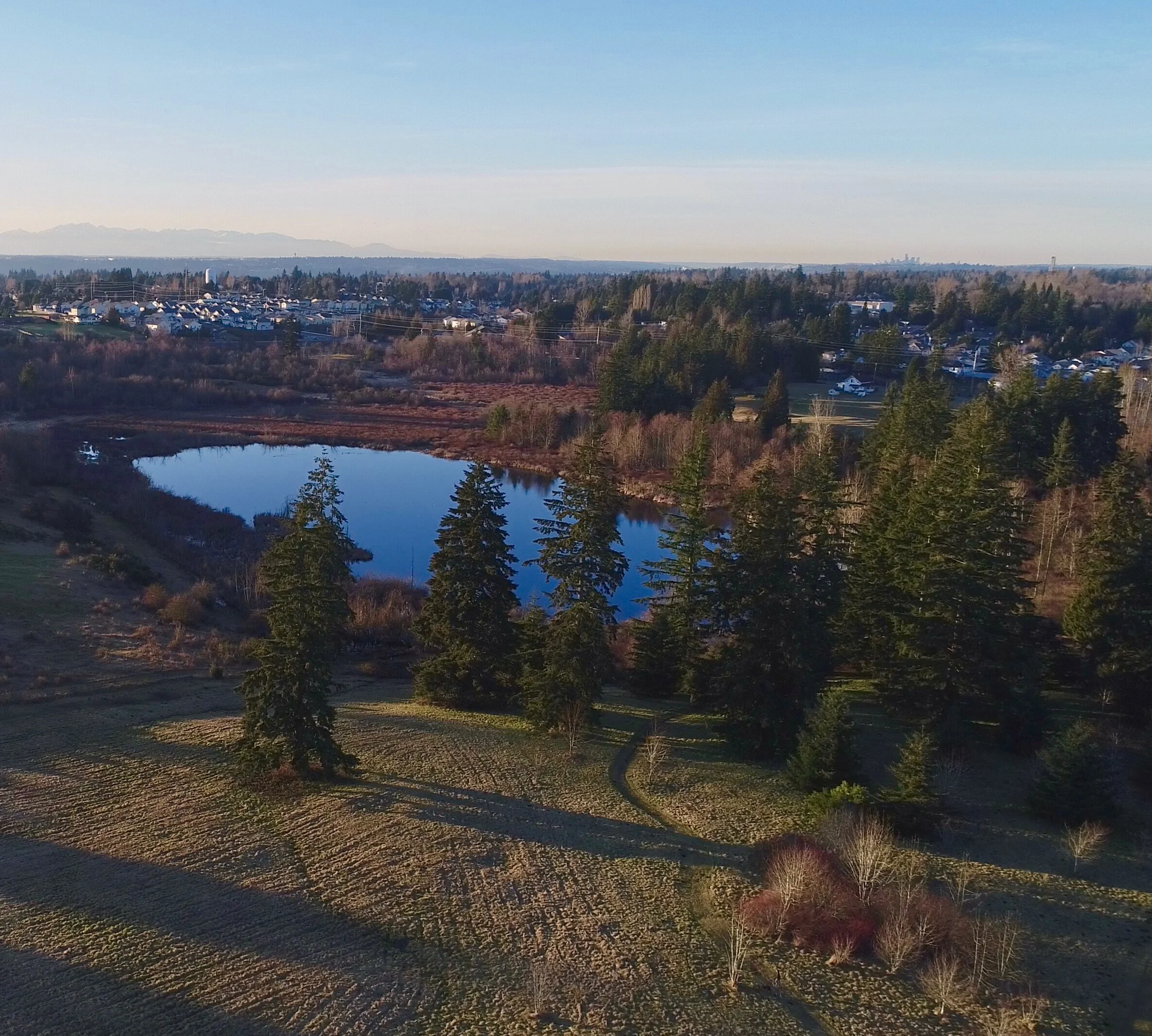 DJI_0155.jpg